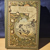 Antikes Jugendbuch "Herz" von de Amicis, Basel 1911