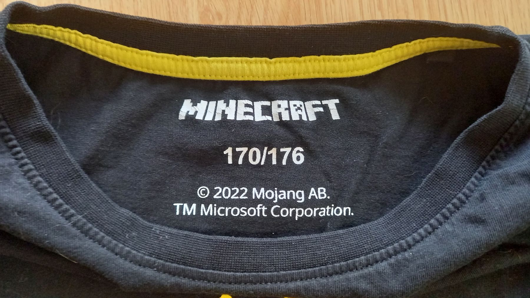 C&A Camicie, T-shirt & Polo: Minecraft Langarmshirt 176 – Nuovo (secondo la descrizione) da Lützelflüh-Goldb venduto da Punktesammler 1