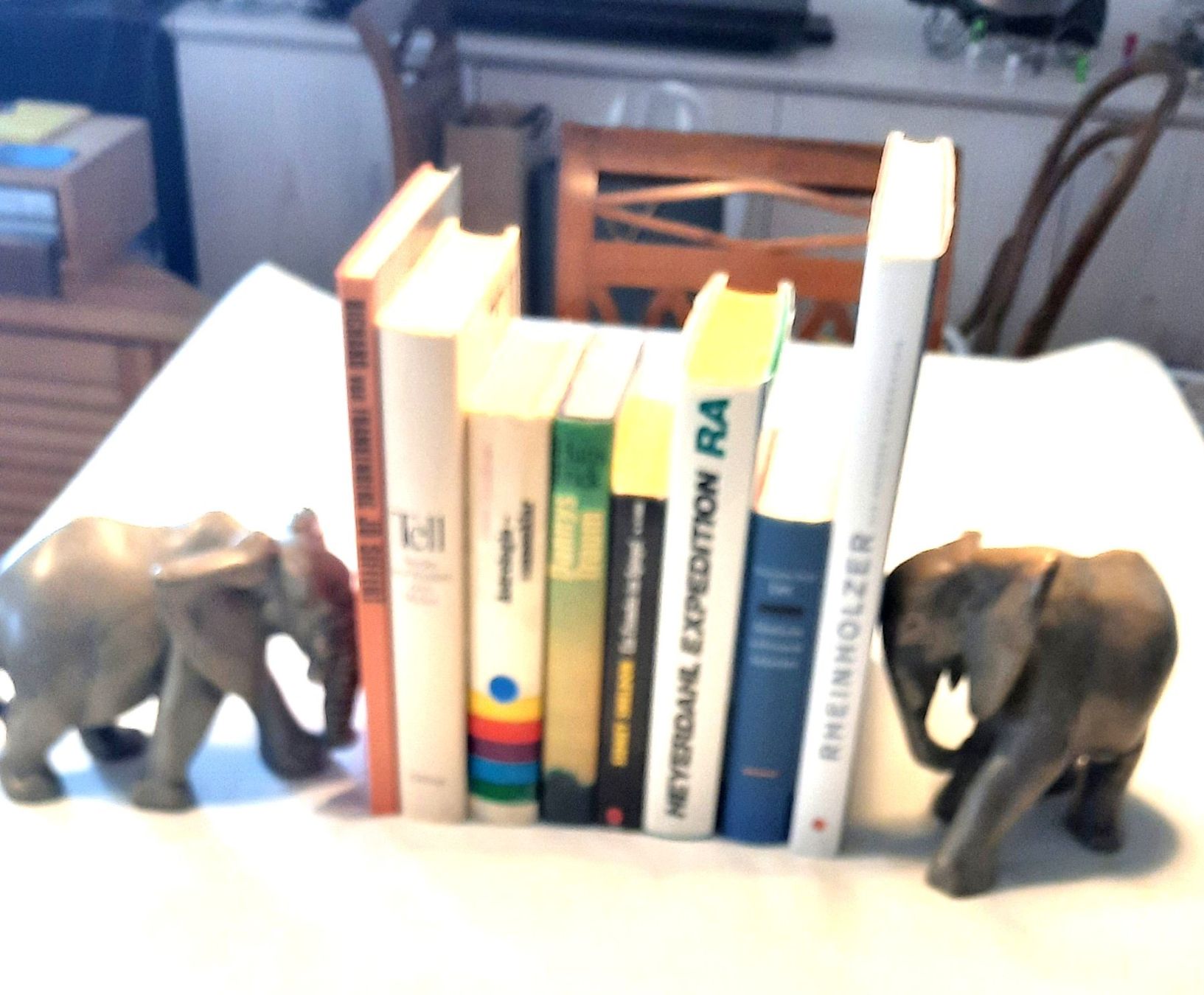 Altro in Decorazioni & Accessori: Buchstützen,  Elefant – Usato da Kilchberg ZH venduto da Ernzi47 5