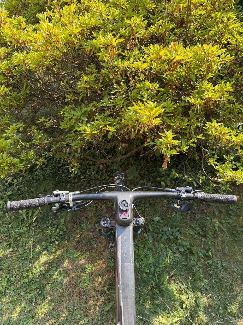 Scott Vélos: Scott Spark RC World Cup EVO – D'occasion à Cademario par Clemverkauft 5