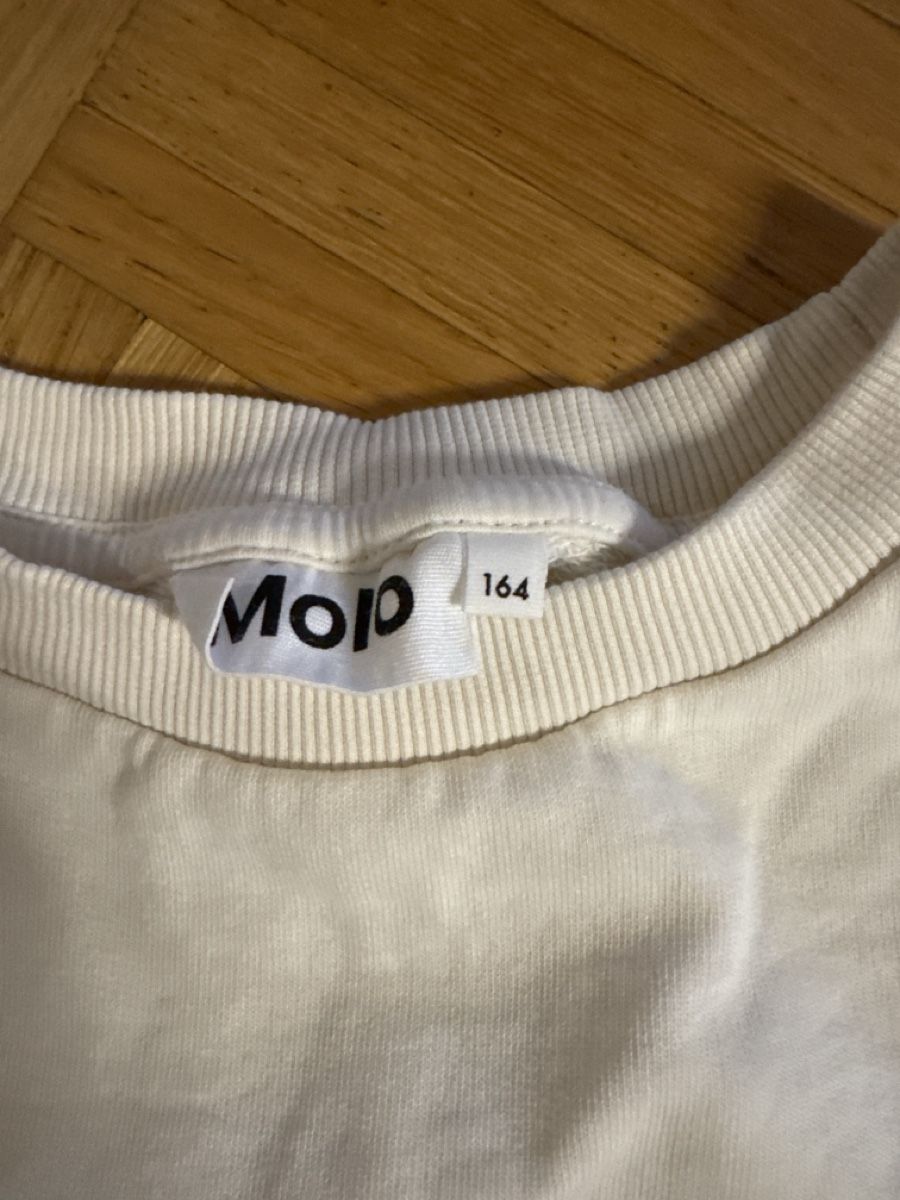 Maglioni & Felpe: Horse Theme Sweatshirt 164/S – Usato da Fällanden venduto da emilyeheim 1