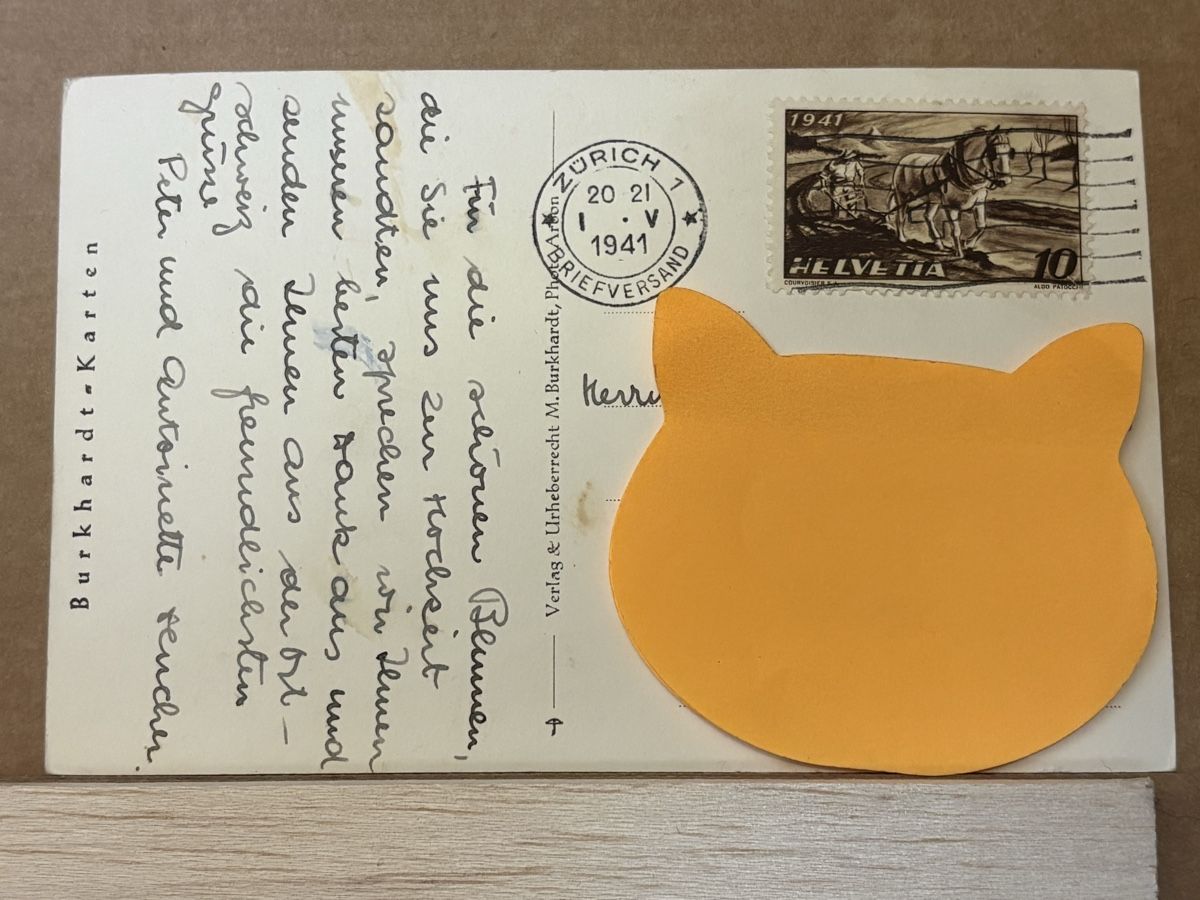 Cartoline postali: AK von Schloss Arenenberg – Usato da Rümlang venduto da Kartenpost1 1