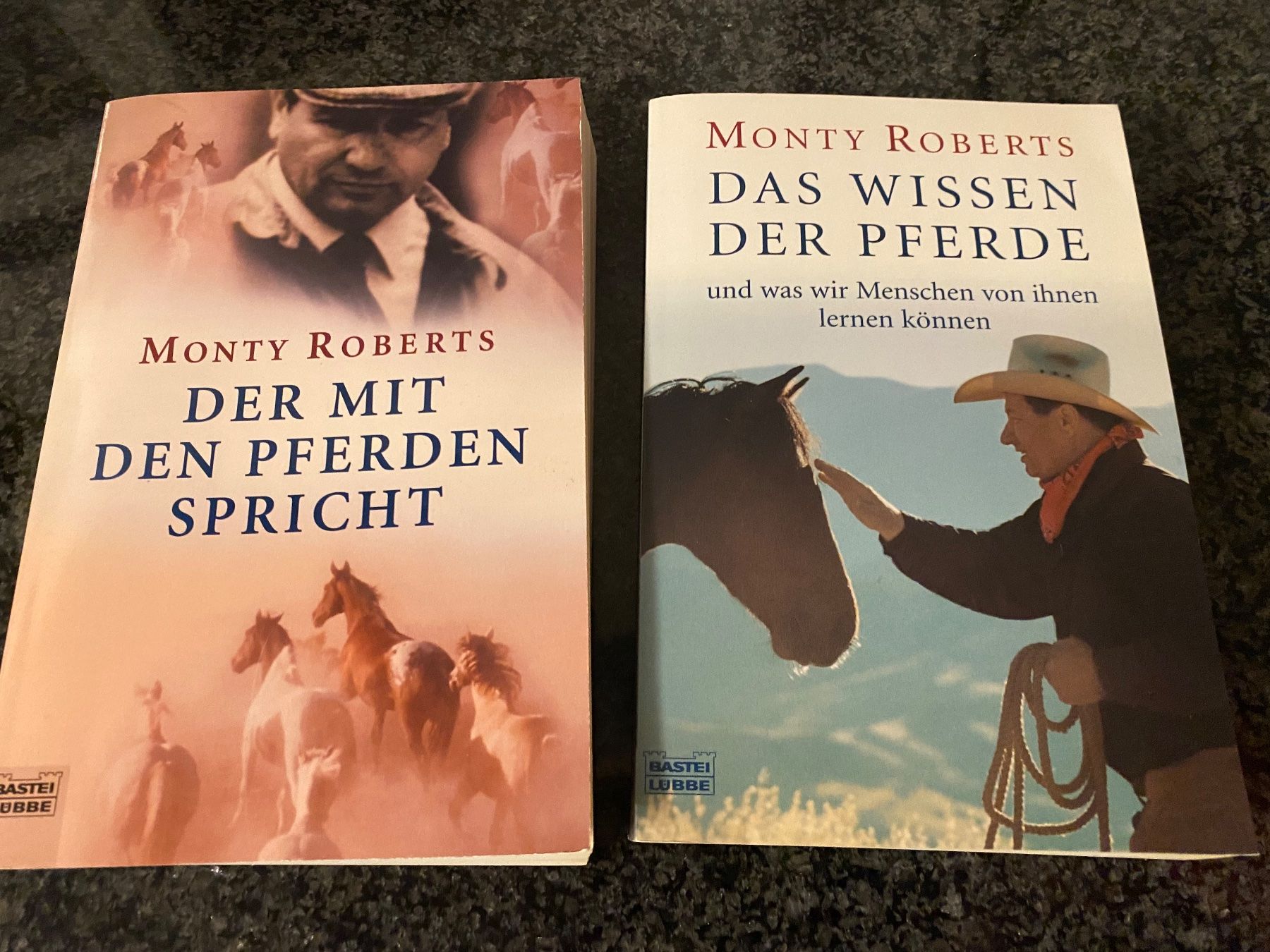 Libri: Pferde Bücher 6 Stck – Usato da St.Gallen venduto da Design04 4