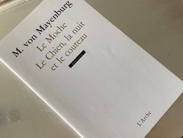M. von Mayenburg Le Moche Le Chien, la nuit et le couteau