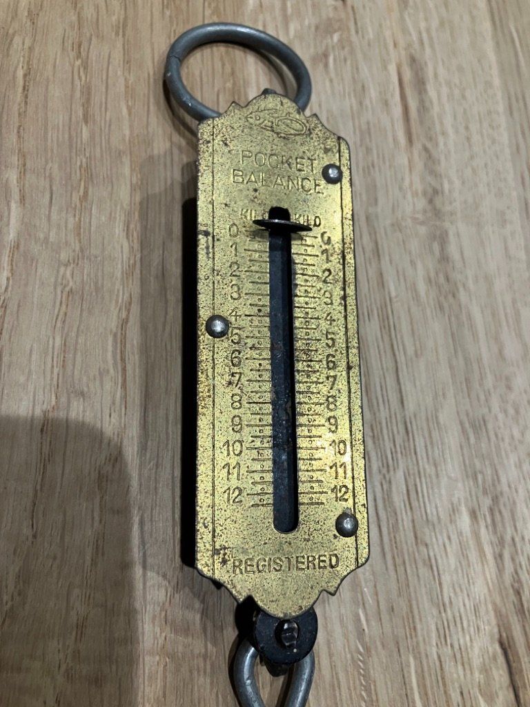 Bilance e pesi: Reise-Gepäck Waage – Usato da Neunkirch venduto da autoscooter57 2