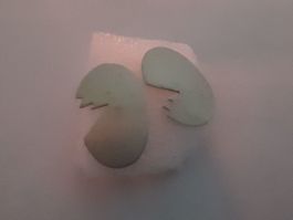 Ohrring/Ohrringe/Ohrstecker Silber gross speziell