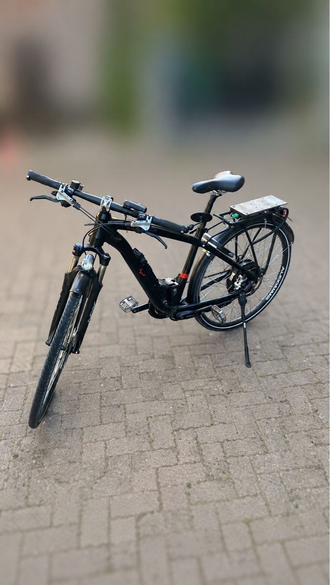 Flyer Vélos: Flyer Vollblut 45km/h – Défectueux à Lommiswil par HS-Schmitte