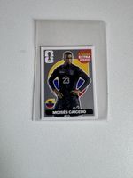 Extra stricker 2016  Caicedo silver 