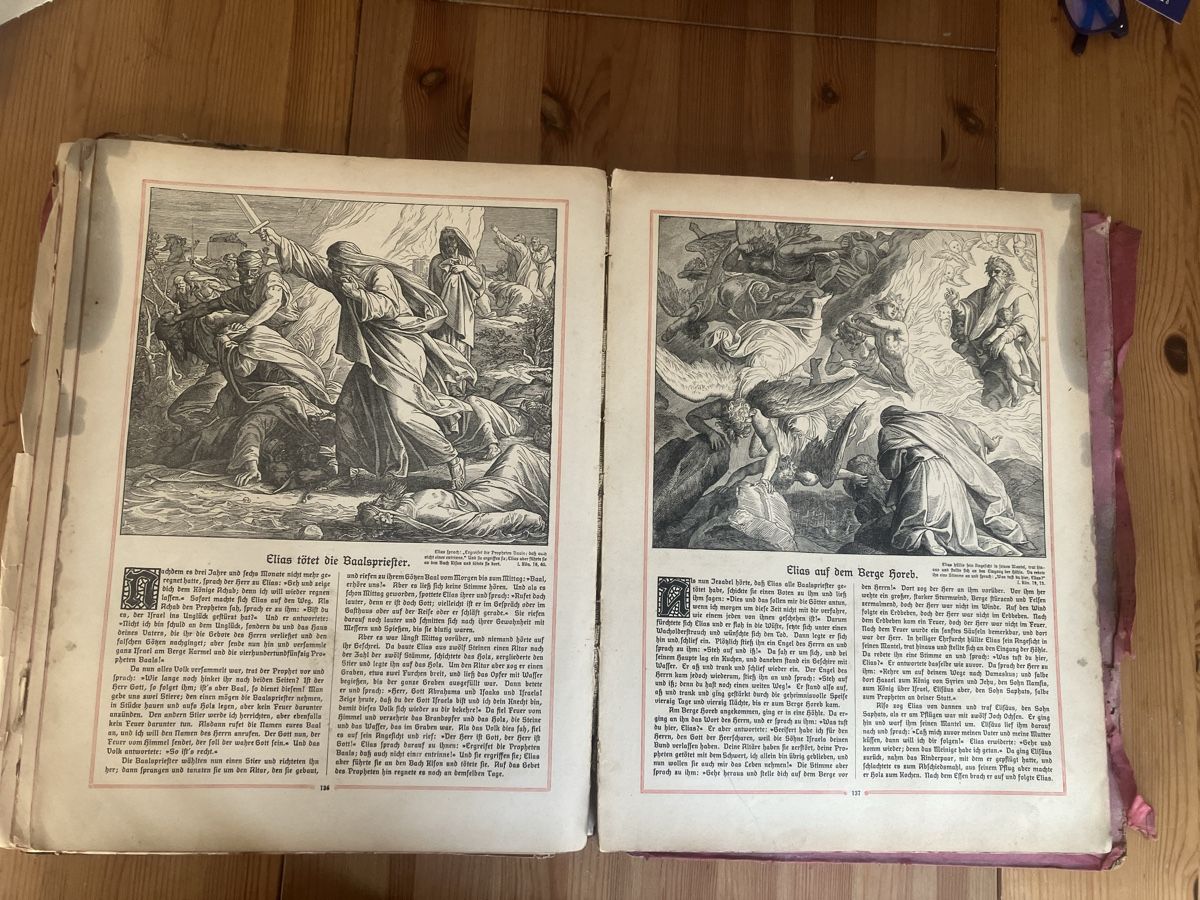 Libri: Antike Bibel 1909 | Bible – Difettoso da Zürich venduto da nos_2msr 4