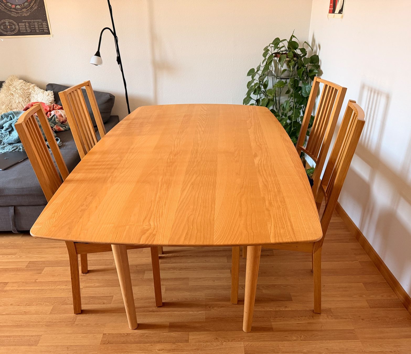 Set di tavolo e panche: Esstisch aus Holz mit 4 Stühlen – Usato da Bern venduto da fio_66sr 1