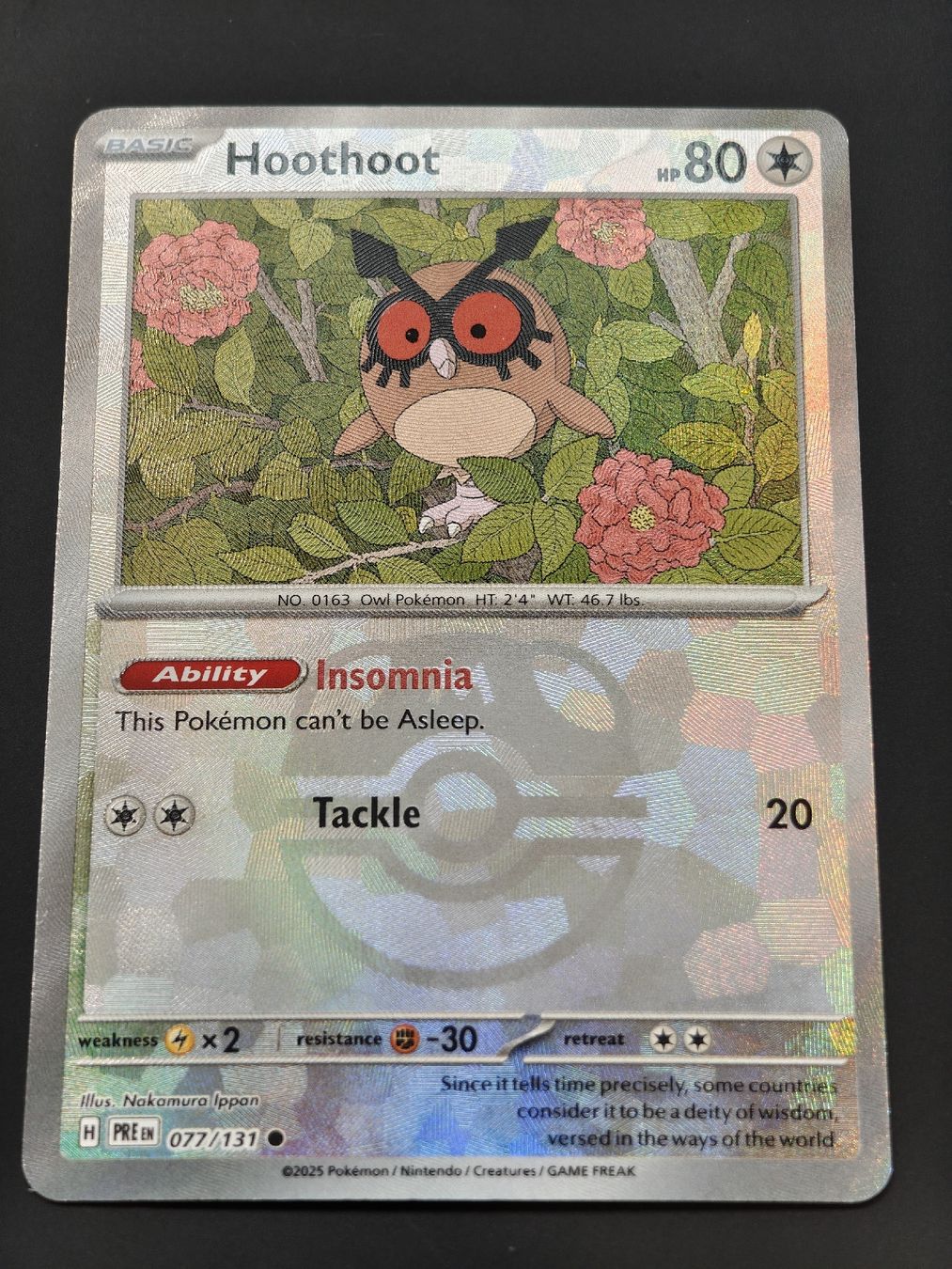 Pokémon Cartes à collectionner: Hoothoot Masterball 077/131 EN – Neuf (Voir description) à Therwil par Cordachu_Trade