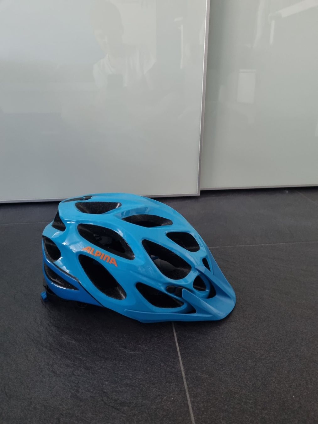 Alpina Caschi: Alpina Velohelm grösse 52-57 – Usato da Nürensdorf venduto da jupiter74