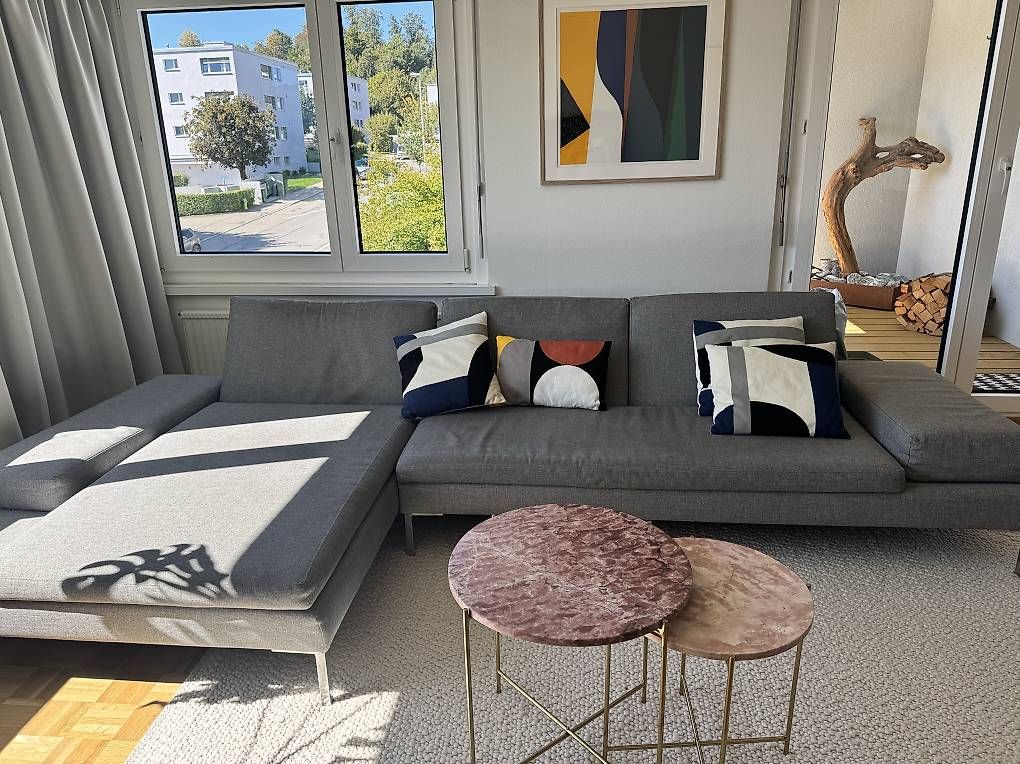 Divani: Sofa – Usato da Richterswil venduto da MinutilloBianca 1