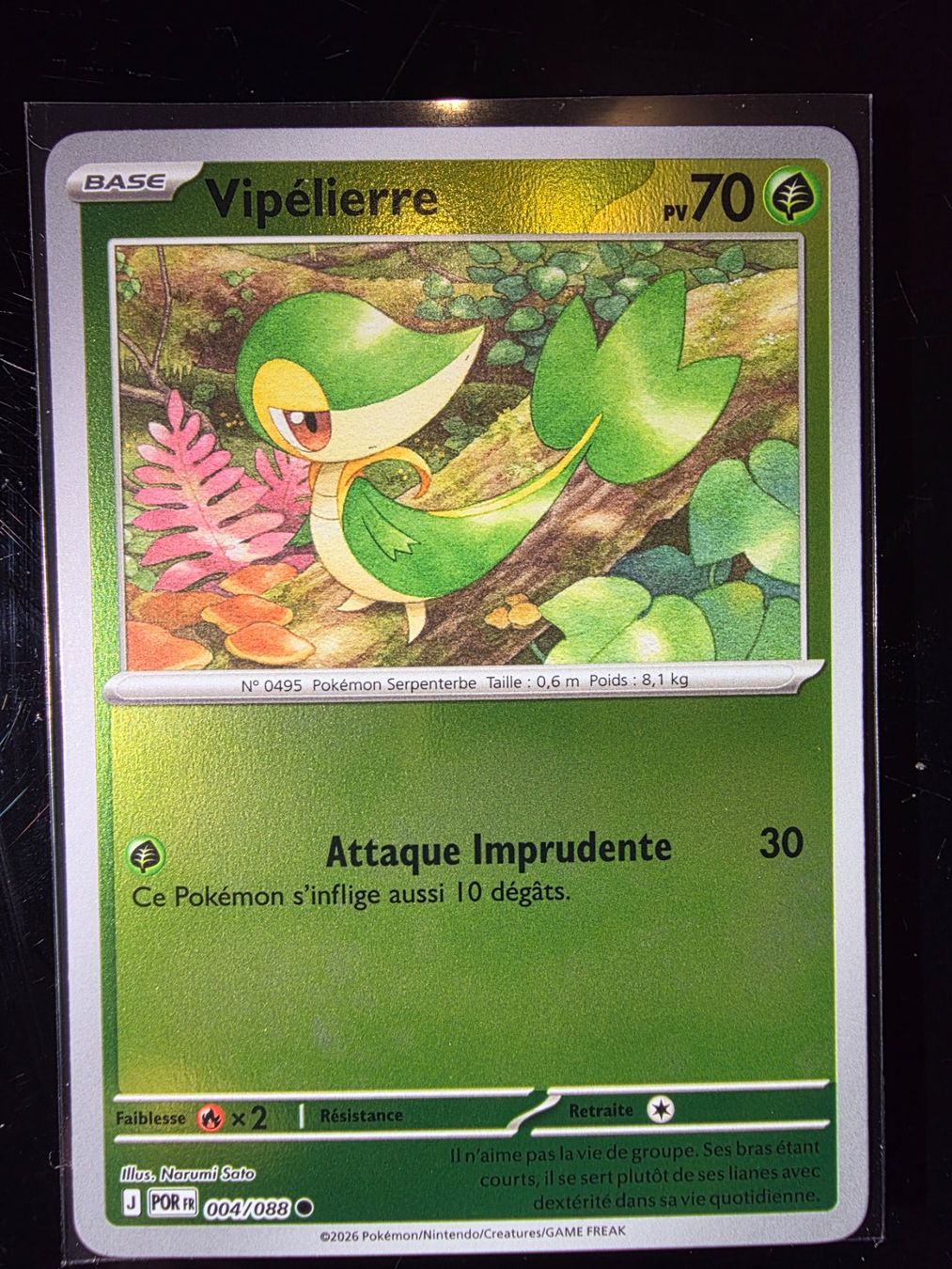 Pokémon Carte collezionabili: Carte Pokemon VIPÉLIERRE REVERSE POR 004 fr – Nuovo e nell'imballaggio originale da Fleurier venduto da dav_xx8y
