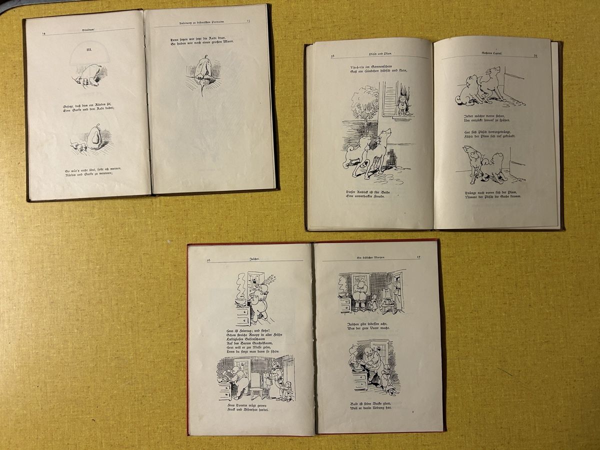 Libri: Wilhelm Busch Klassiker Set, Diddle Dum, Plisch und Plum – Usato da Lanzenhäusern venduto da vic63 2