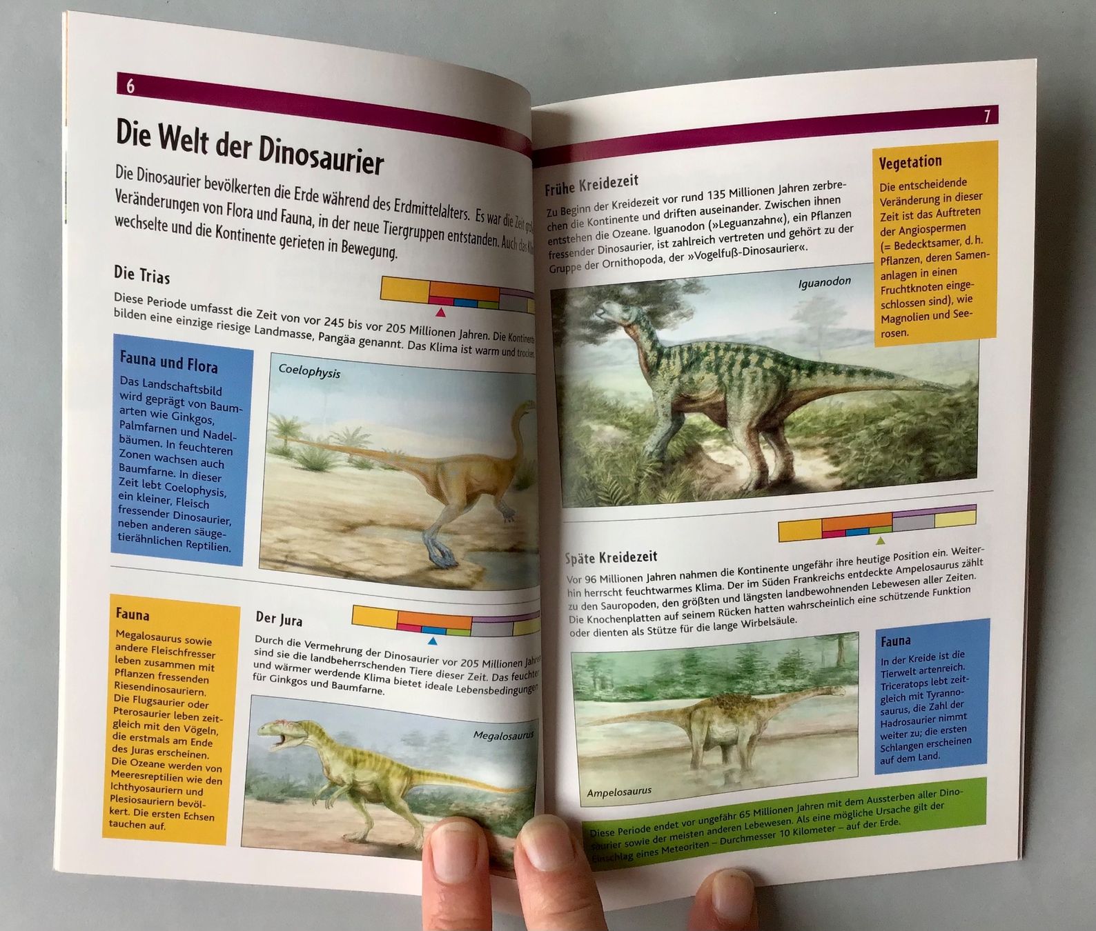 Libri: Auf den Spuren der Dinosaurier! – Nuovo (secondo la descrizione) da Bubendorf venduto da Alpenheidi 5