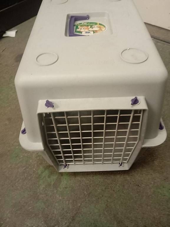 Gabbie, trasporto & Sicurezza: Hundebox – Usato da Basel venduto da Petergunn 1
