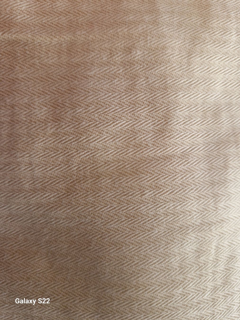 Pantaloni: Iguana Bermuda Hose, Gr. XL – Usato da Muri b. Bern venduto da mlu_vgj7 6