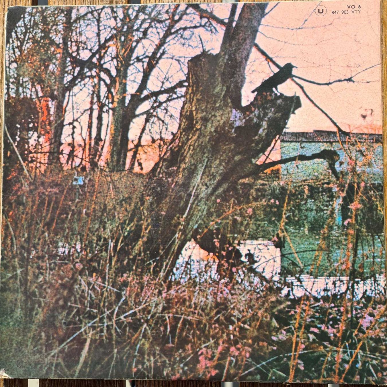 Dischi in vinile: LP - Black Sabbath – Usato da Basel venduto da Solarbebop 1