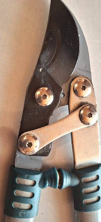 Tutti gli attrezzi: Astschere Bypass mit langen Griffen  ca. 83 cm – Usato da Rüti ZH venduto da Liliane_market 1
