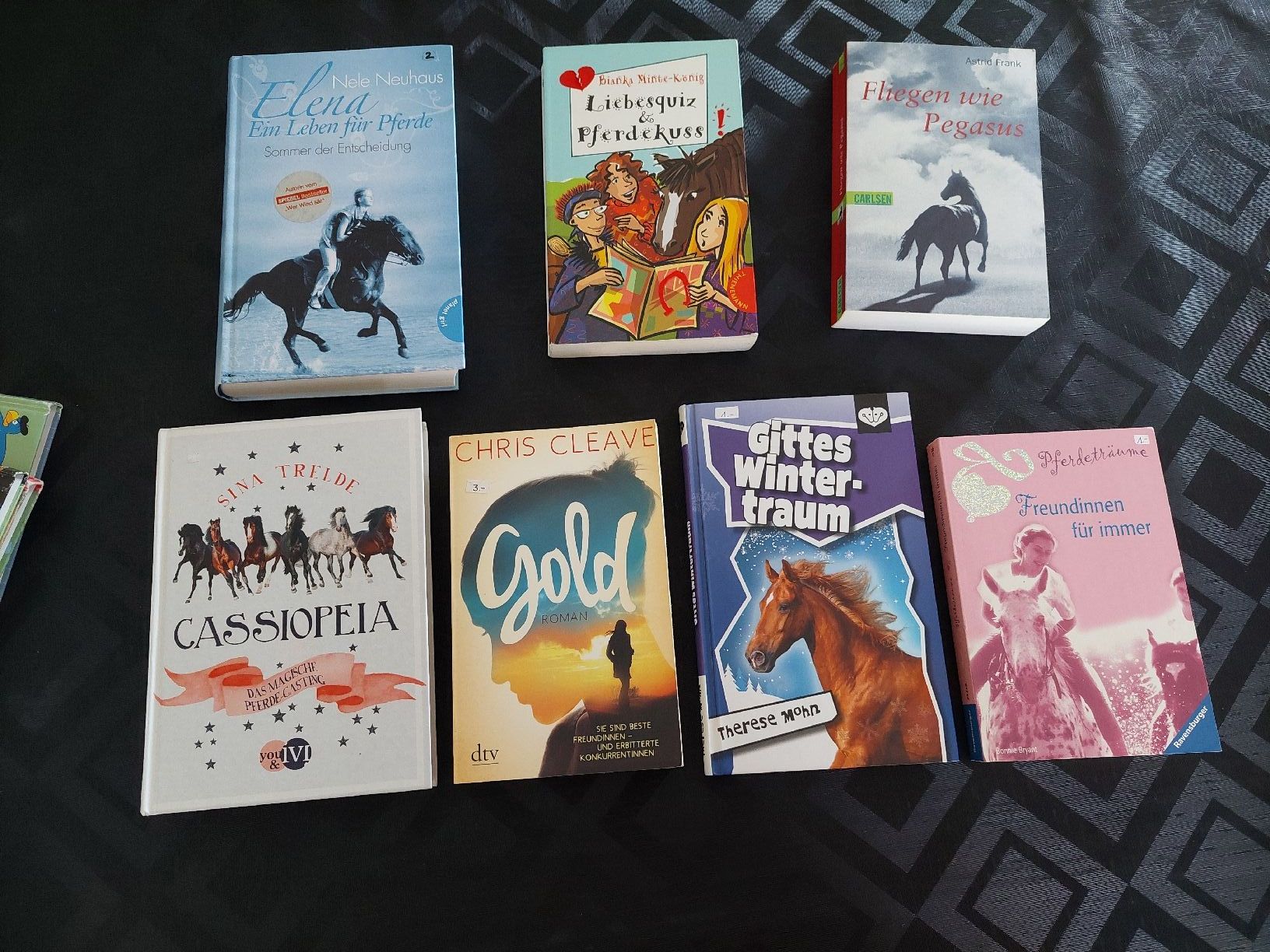 Bücher: 7 Pferdebücher – Gebraucht aus Zetzwil von lanst08