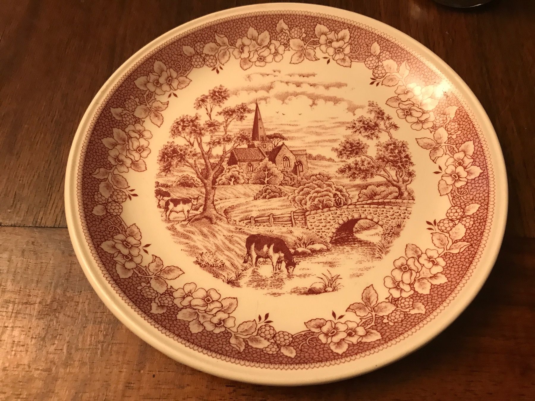 Teller: Vintage Englische Teller Biltons – Gebraucht aus Baden von swiss-alps