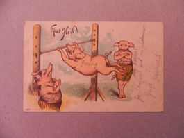 Karte Motiv Humor mit Schwein / Sau 1899 Turnen Post Thalwil