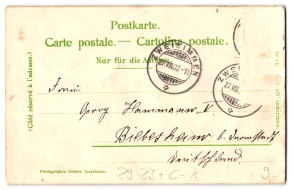 Cartoline postali: Relief-AK Zweisimmen, Gesamtansicht – Usato da Berlin venduto da bartko-reher 1