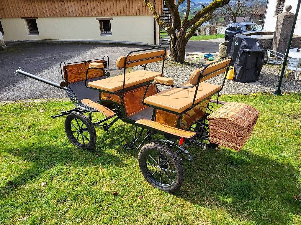 Carrozze: Neuwertige Kutsche Jagdwagen Pony oder Esel – Usato da Rickenbach SZ venduto da Thwe100