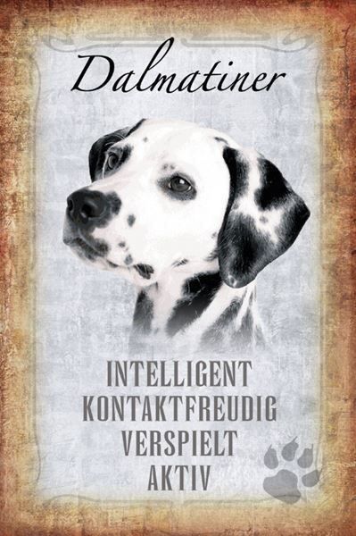 Schilder: Blechschild-STECKBRIEF-DALMATINER HUND – Neu und originalverpackt aus Rupperswil von big-one-sale