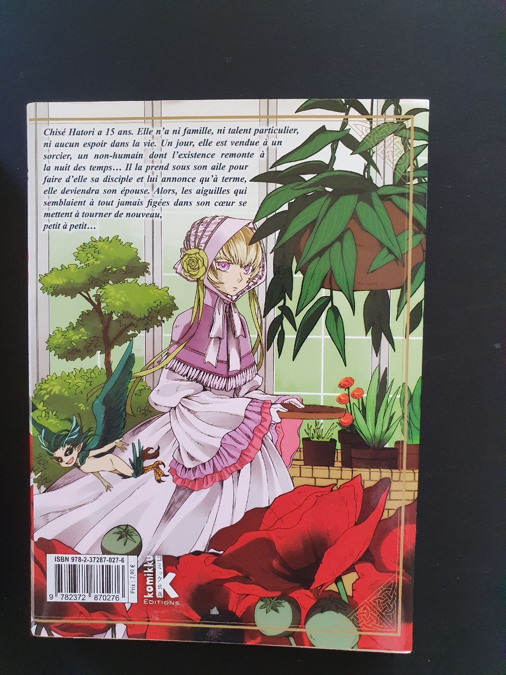 Fumetti: 2 livres Manga – Usato da Les Brenets venduto da SBO56 2