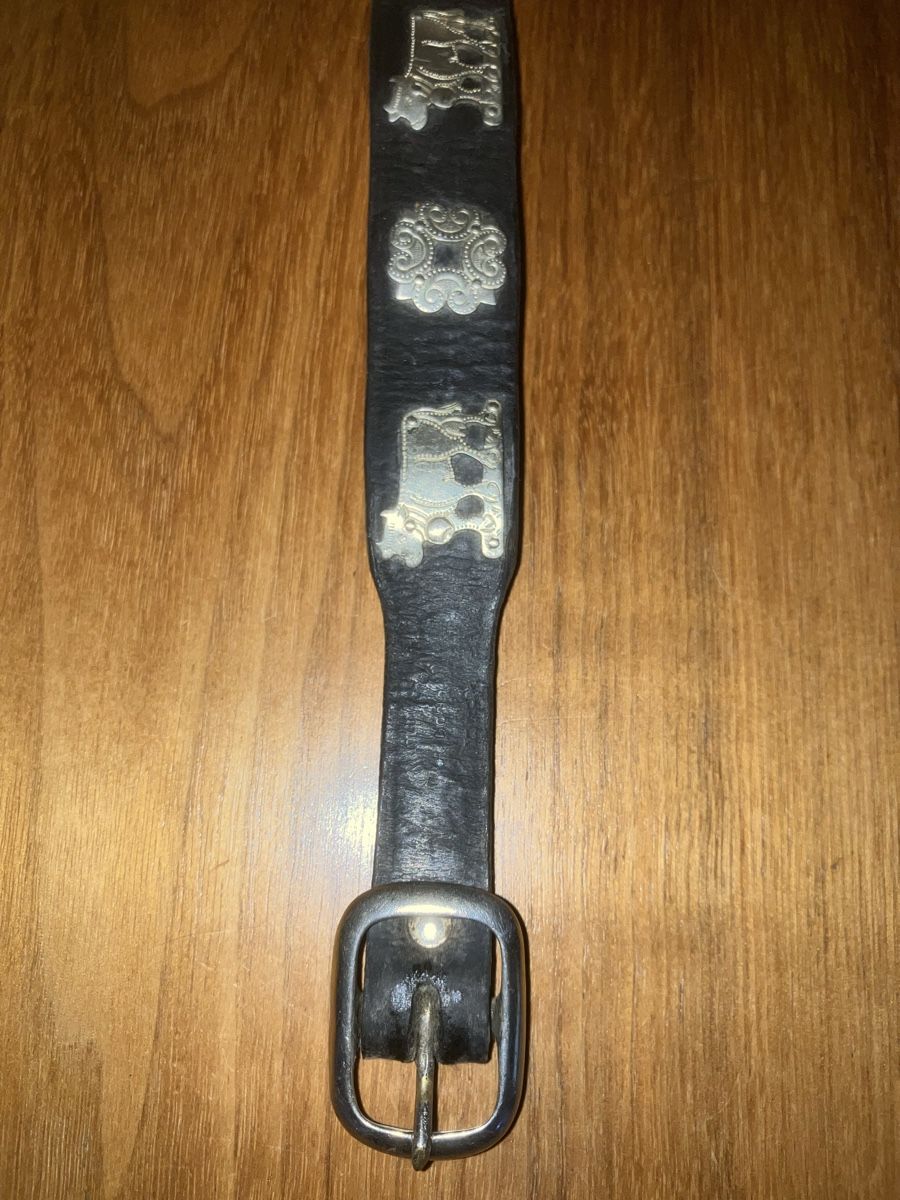 Nastri decorativi: Appenzeller Hundehalsband – Usato da Neftenbach venduto da 889095 3