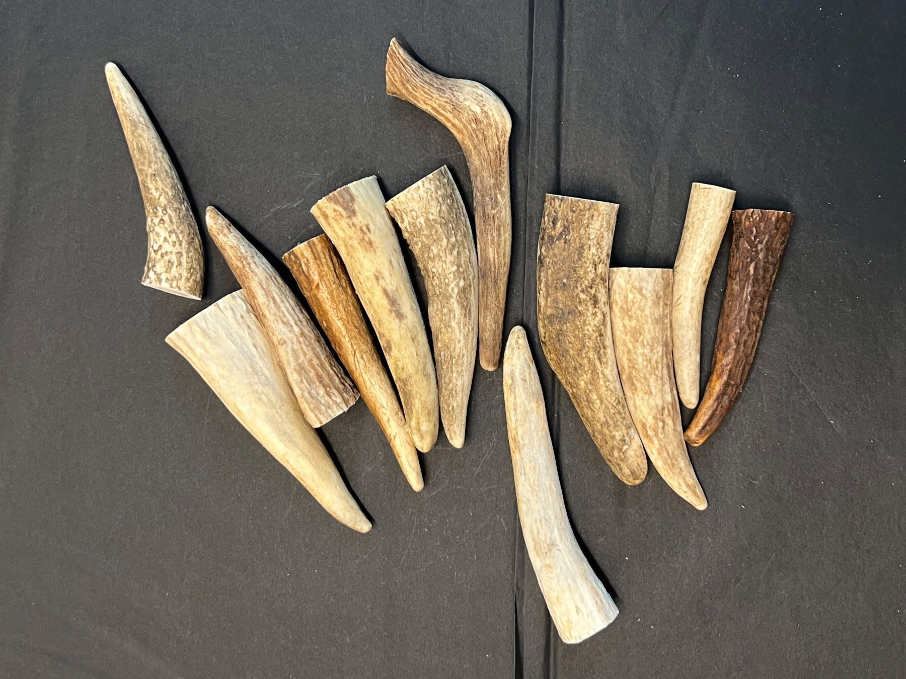 Altre raccolte & rarità: Hirsch Geweih Horn Hirschgeweih Spitzen 8-12cm – Usato da Vaduz venduto da hirschjager 2