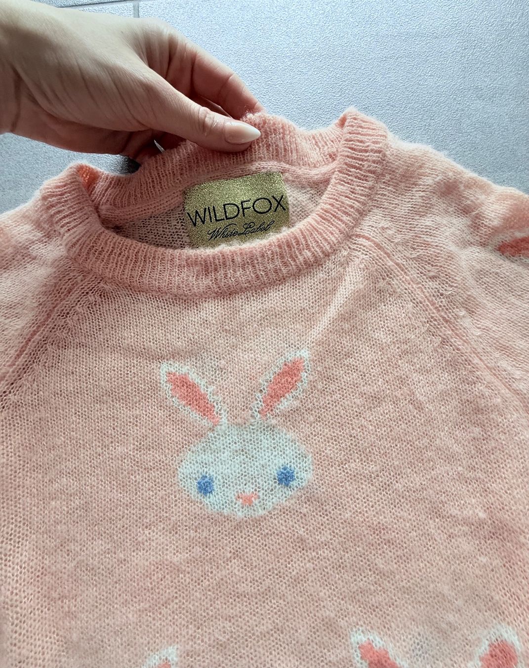 Pullover & Sweatshirts: WILDFOX White Lable Pullover – Neu (gemäss Beschreibung) aus Buchs ZH von KittyInStyle 1