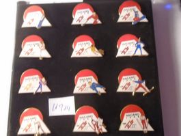 12Tlg.Nagano1998 Olympia PinsSet Komplette Samml Selten(U914