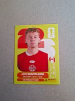 PANINI FIFA 2026 CAN 14