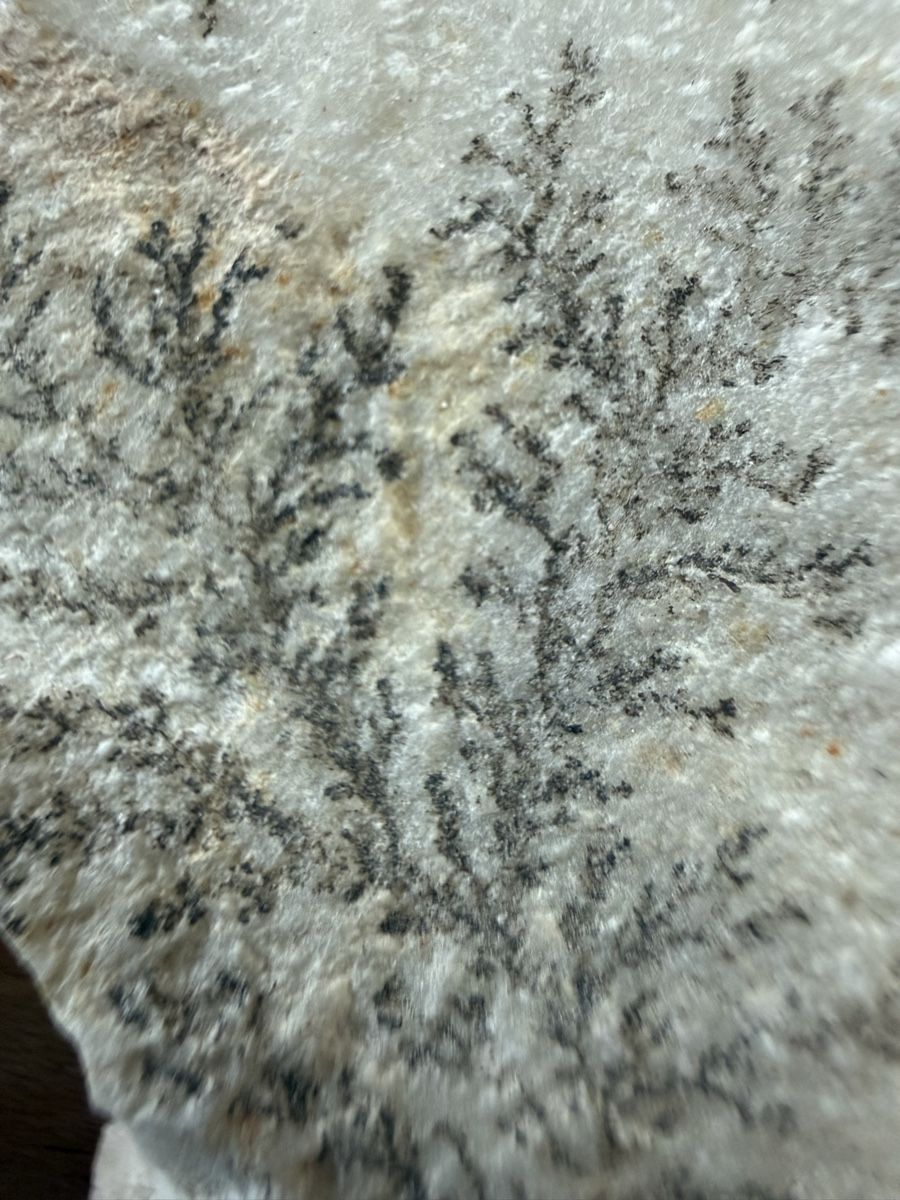 Minerali & Pietre curative:  Manganoxid-Dendrite – Usato da Grenchen venduto da Bastet007 2