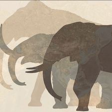 Profile image of Mamutpe