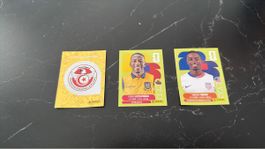 Panini WM 2026 Sticker