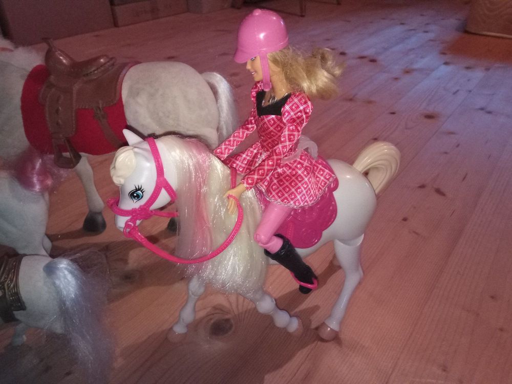 Barbie Paket gross mit Pferden Kaufen auf Ricardo