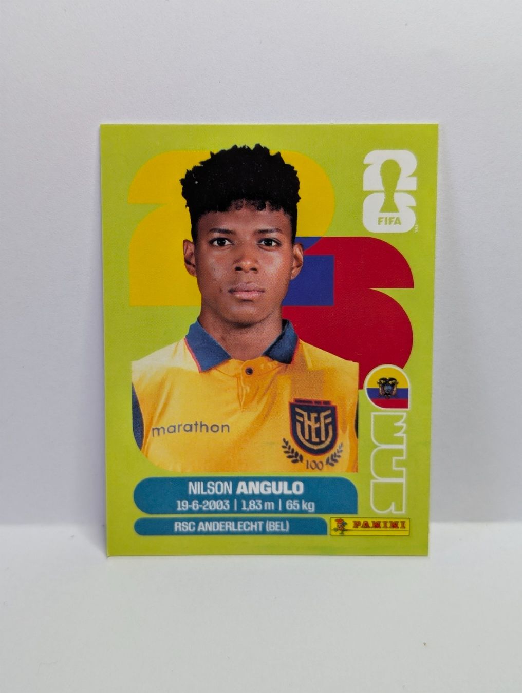 Panini Sammelbilder & Trading cards: Panini WM 2026 - ECU 17 - Nilson ANGULO - ECUADOR – Neu (gemäss Beschreibung) aus Founex von amel89
