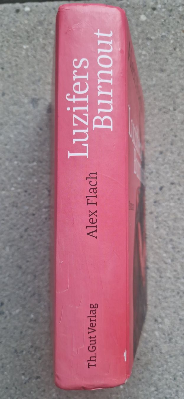 Bücher: Luzifers Burnout von Alex Flach – Gebraucht aus Zürich von ilkam 1