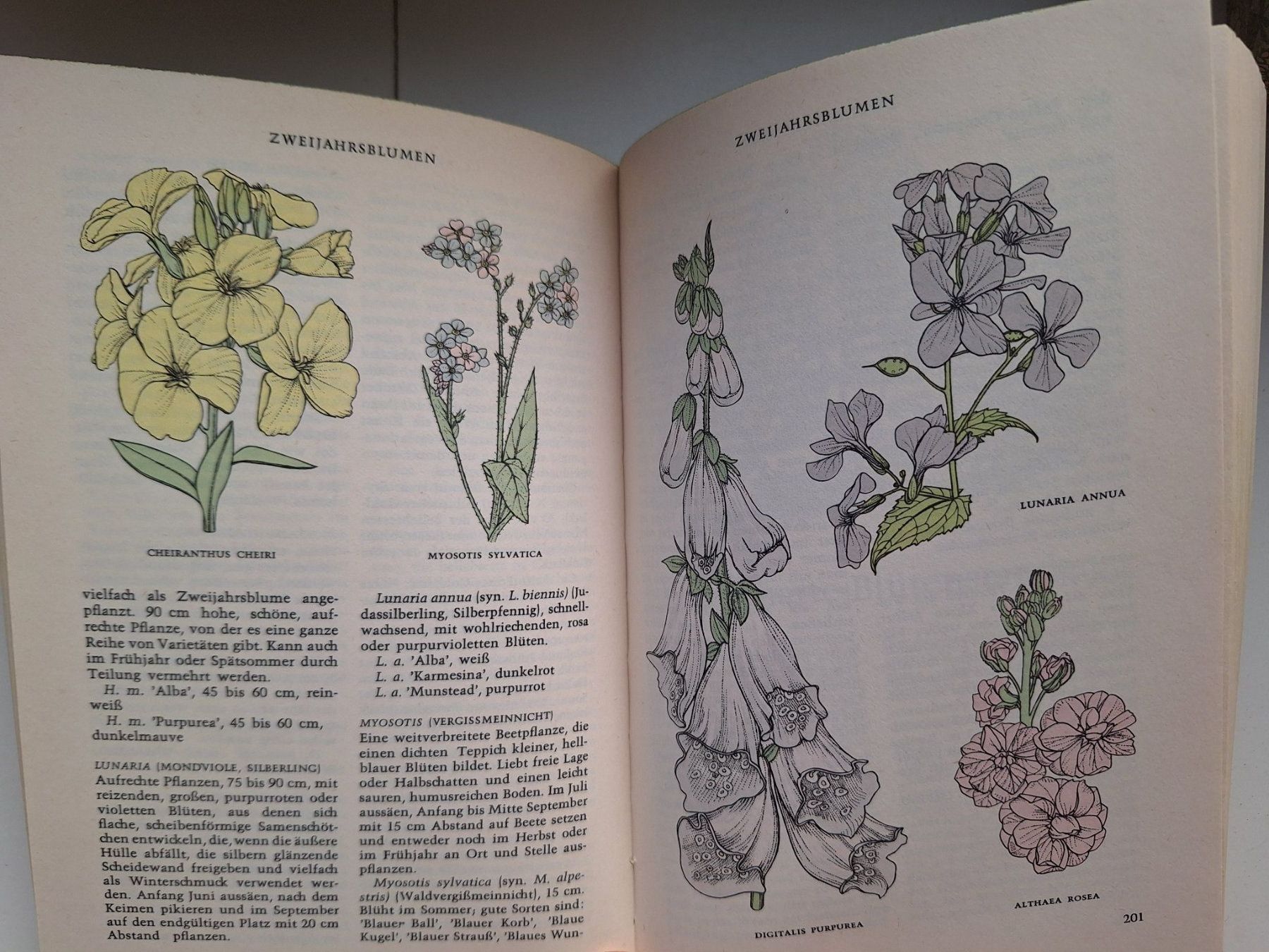 Bücher: Das grosse Reader's Digest Gartenbuch, 3 Bände, 1965! Top... – Gebraucht aus Zürich von t24_de 6