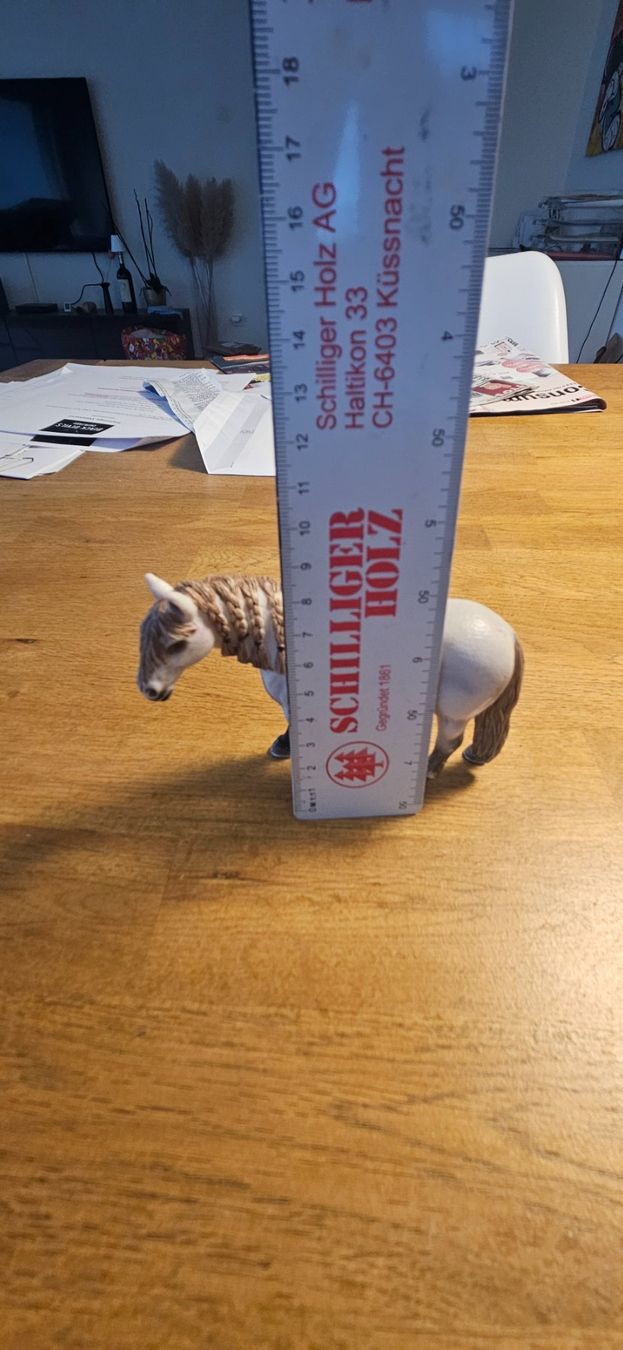 Schleich Figurines: Schleich Pferde – D'occasion à Walchwil par Sandy08 3