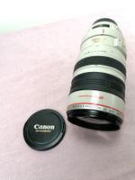 Zoomobjektiv 100 - 400 für Canon