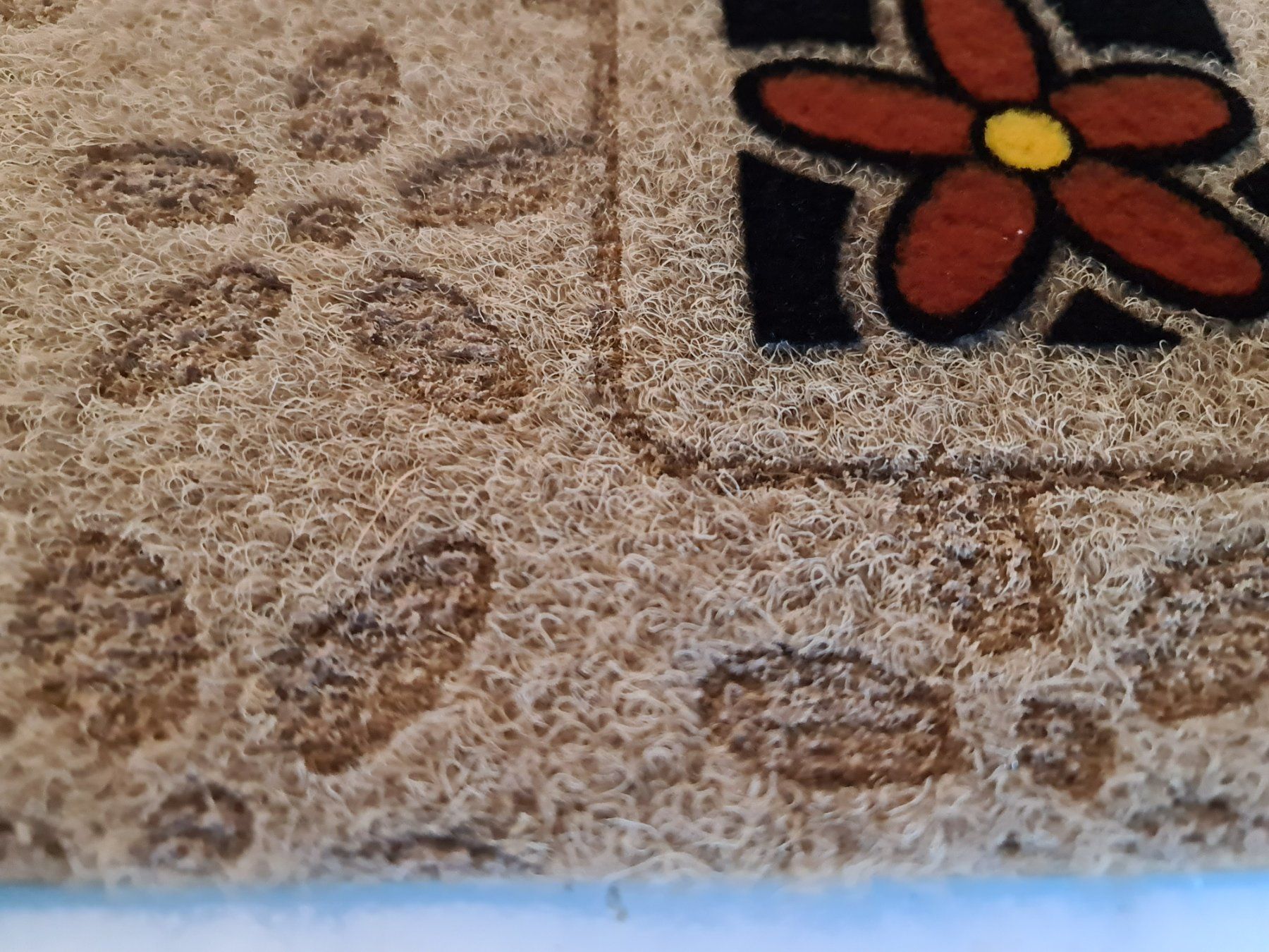 Tappeti: Kokosmatte Türvorlege Fussmatte Eingangsteppich – Nuovo e nell'imballaggio originale da Uerkheim venduto da Kaufoption 2