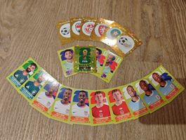 Panini Sticker