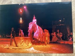 Circus Knie Foto 1988