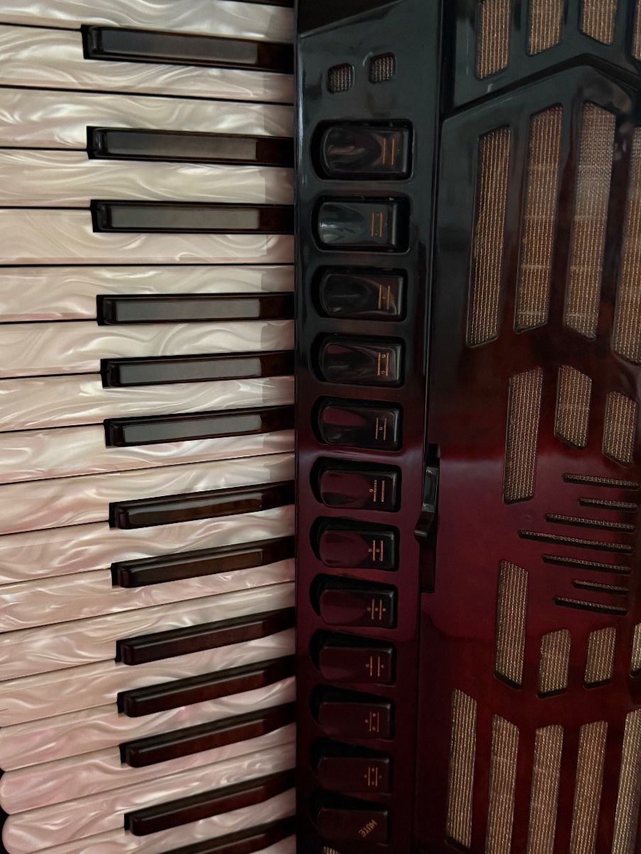 Strumenti musicali: Beltuna Leader 4 – Usato da Fuldera venduto da coo_lr2c 3