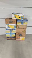11x Bananenkisten / Zügelkisten assort.